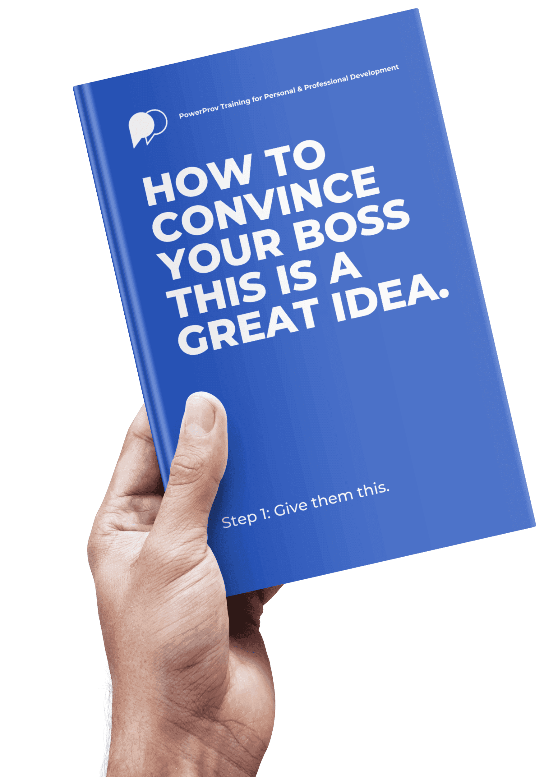 How to Convince Your Boss This Is a Great Idea — PowerProv guide