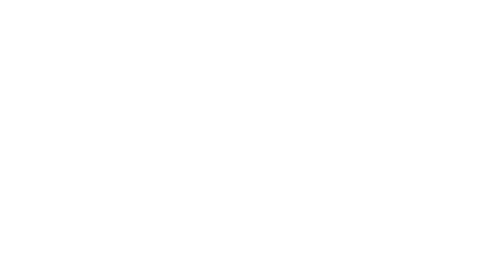 Reborn